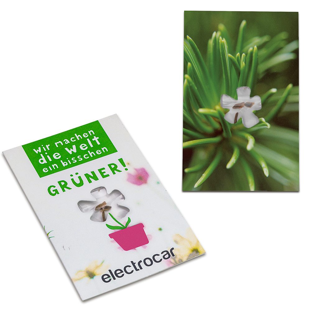 Samen-Karte-Mini Blume, Fichte