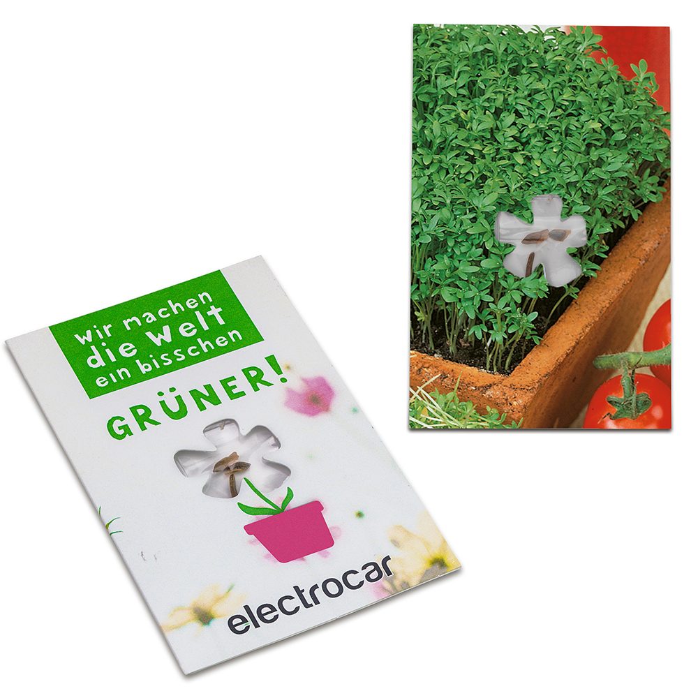 Samen-Karte-Mini Blume, Gartenkresse