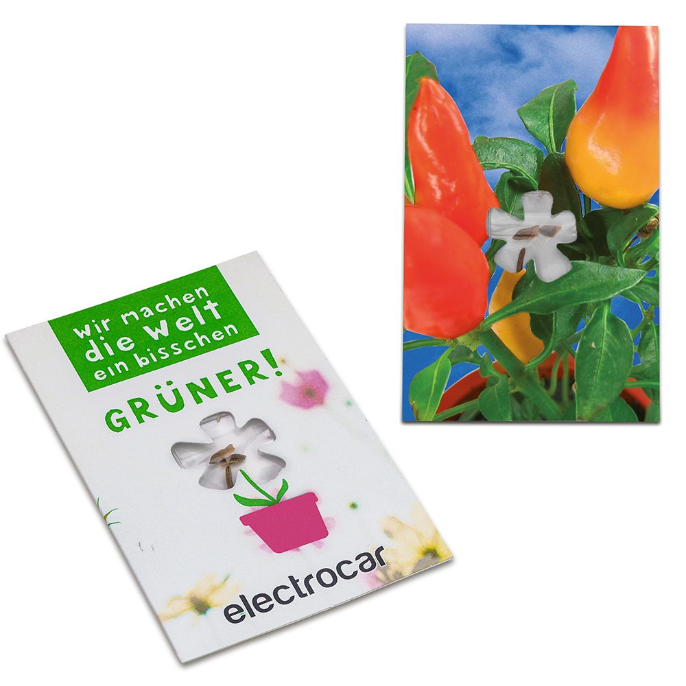 Samen-Karte-Mini Blume, Gewürzpaprika