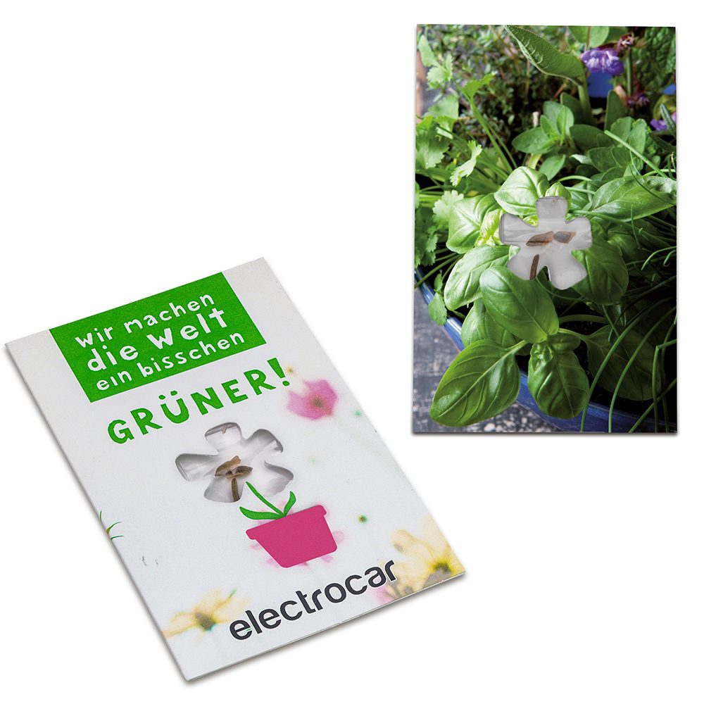 Samen-Karte-Mini Blume, Kräutermischung