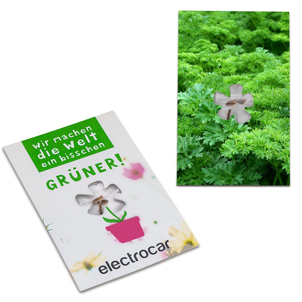 Samen-Karte-Mini Blume, Petersilie