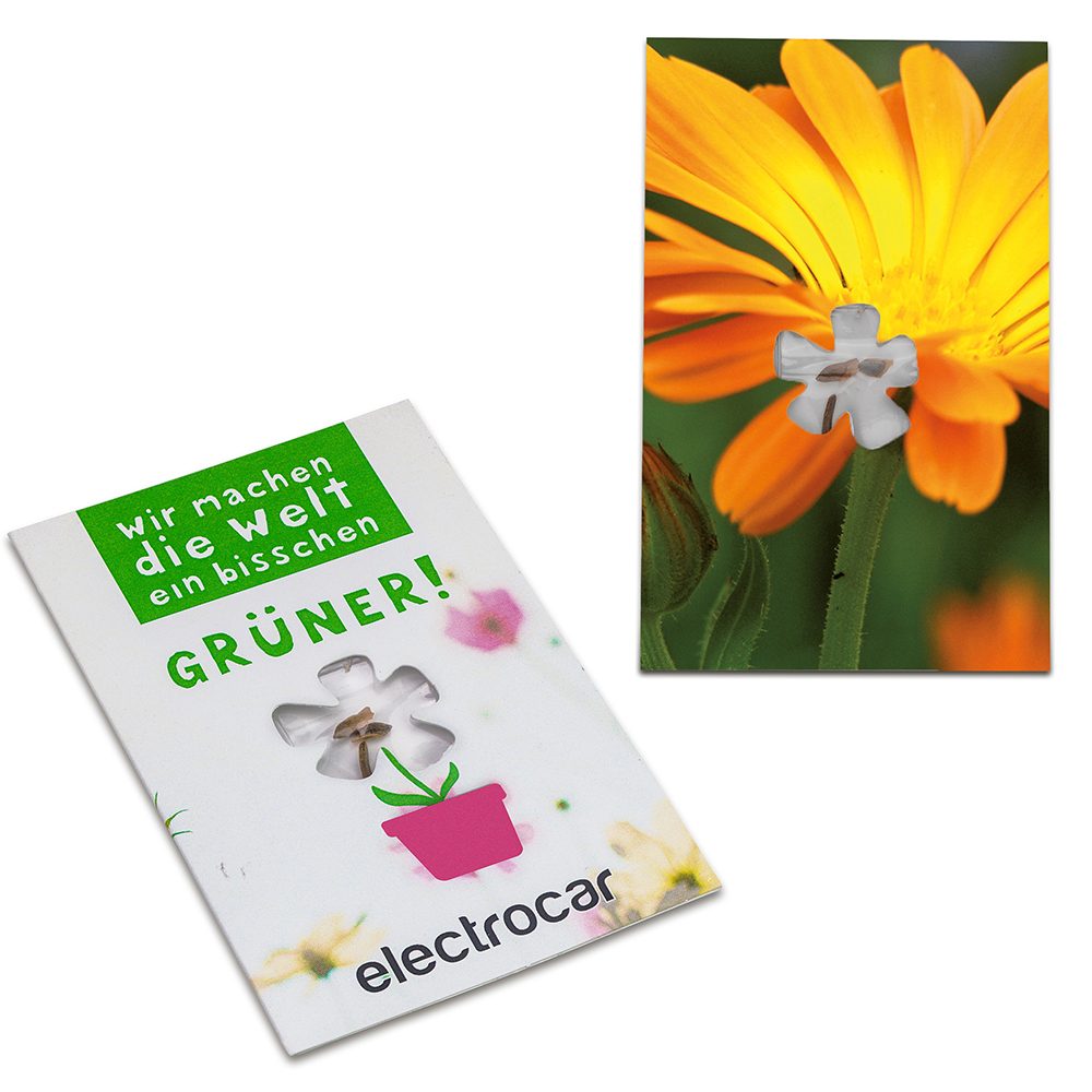 Samen-Karte-Mini Blume, Ringelblume