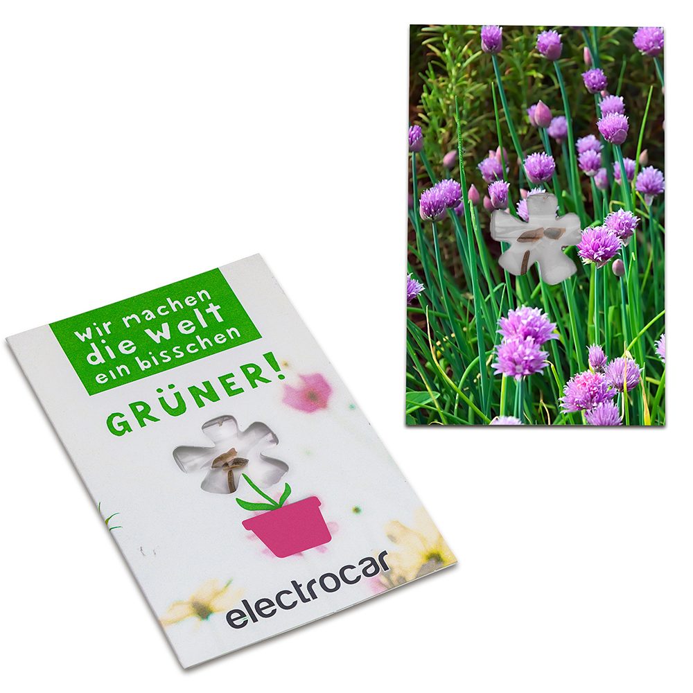 Samen-Karte-Mini Blume, Schnittlauch