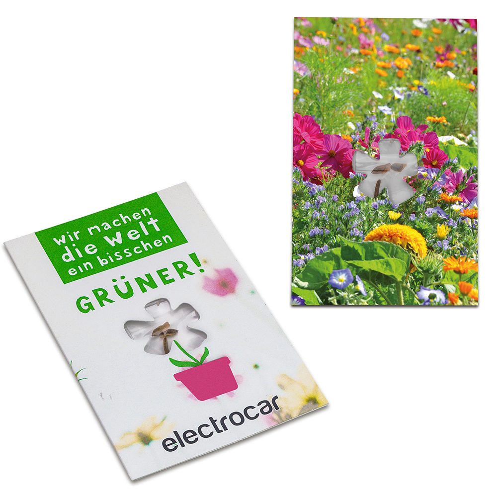 Samen-Karte-Mini Blume, Sommerblumenmischung