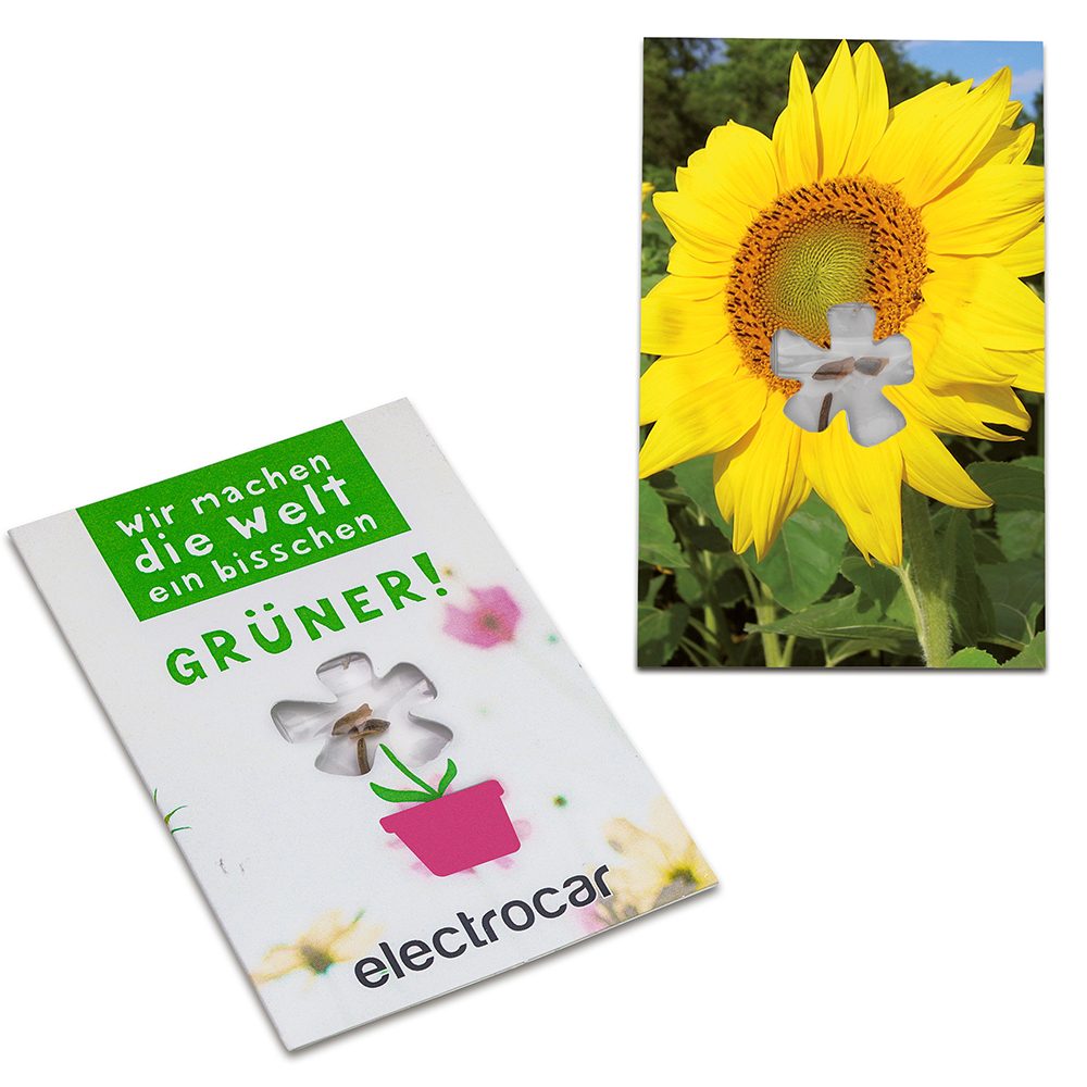 Samen-Karte-Mini Blume, Sonnenblume