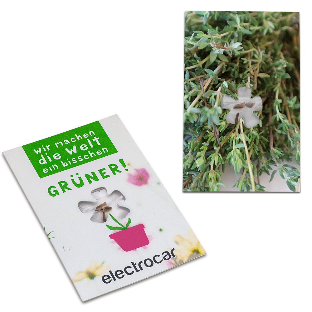 Samen-Karte-Mini Blume, Thymian