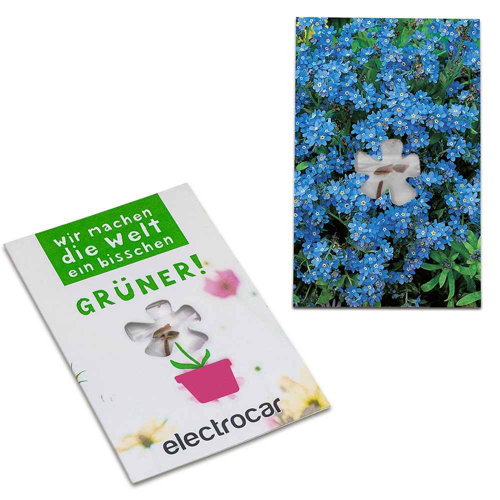 Samen-Karte-Mini Blume, Vergissmeinnicht