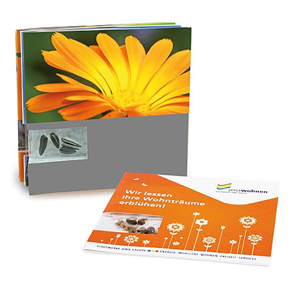 Samen-Karte, Ringelblume