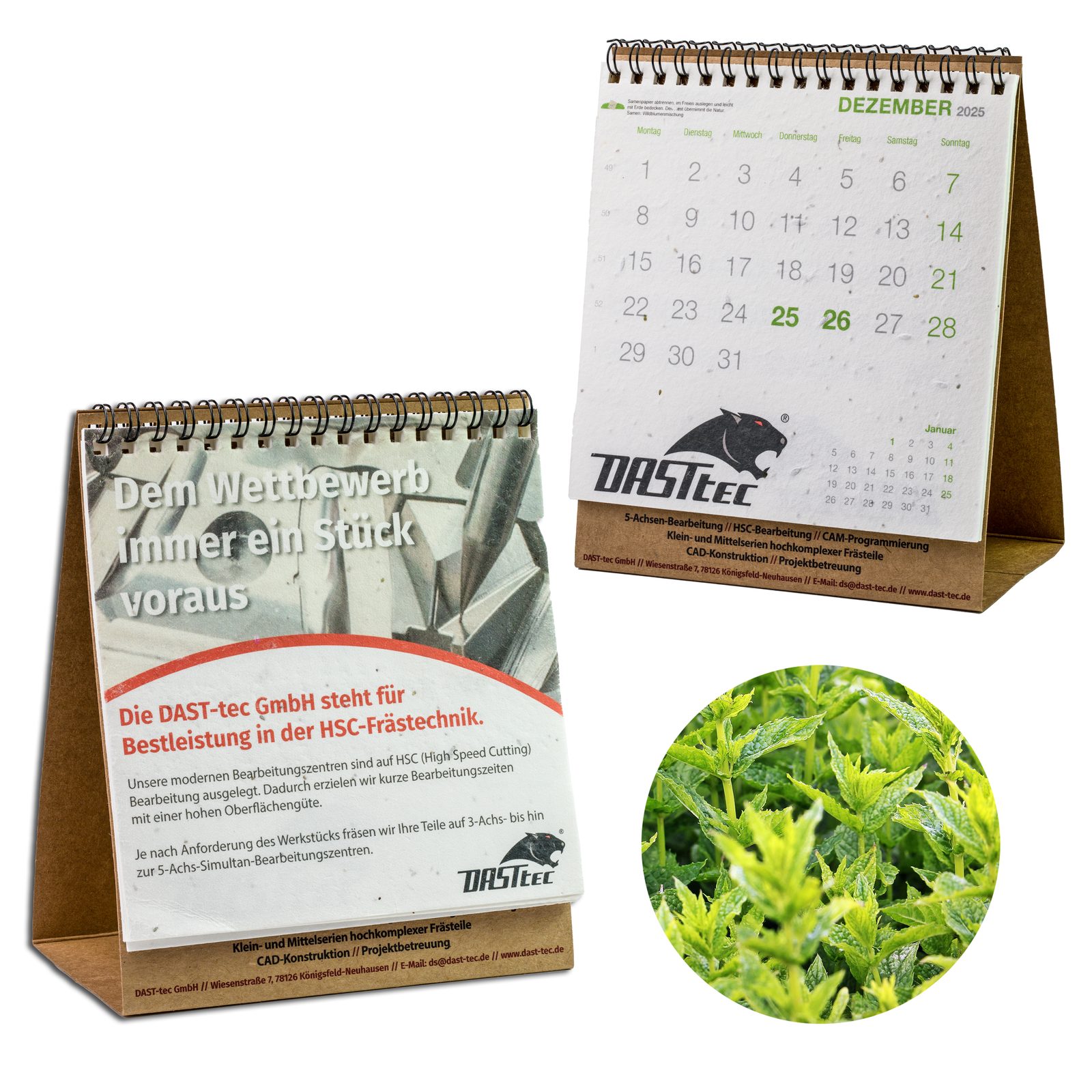Samenpapier-Tischkalender, Minze