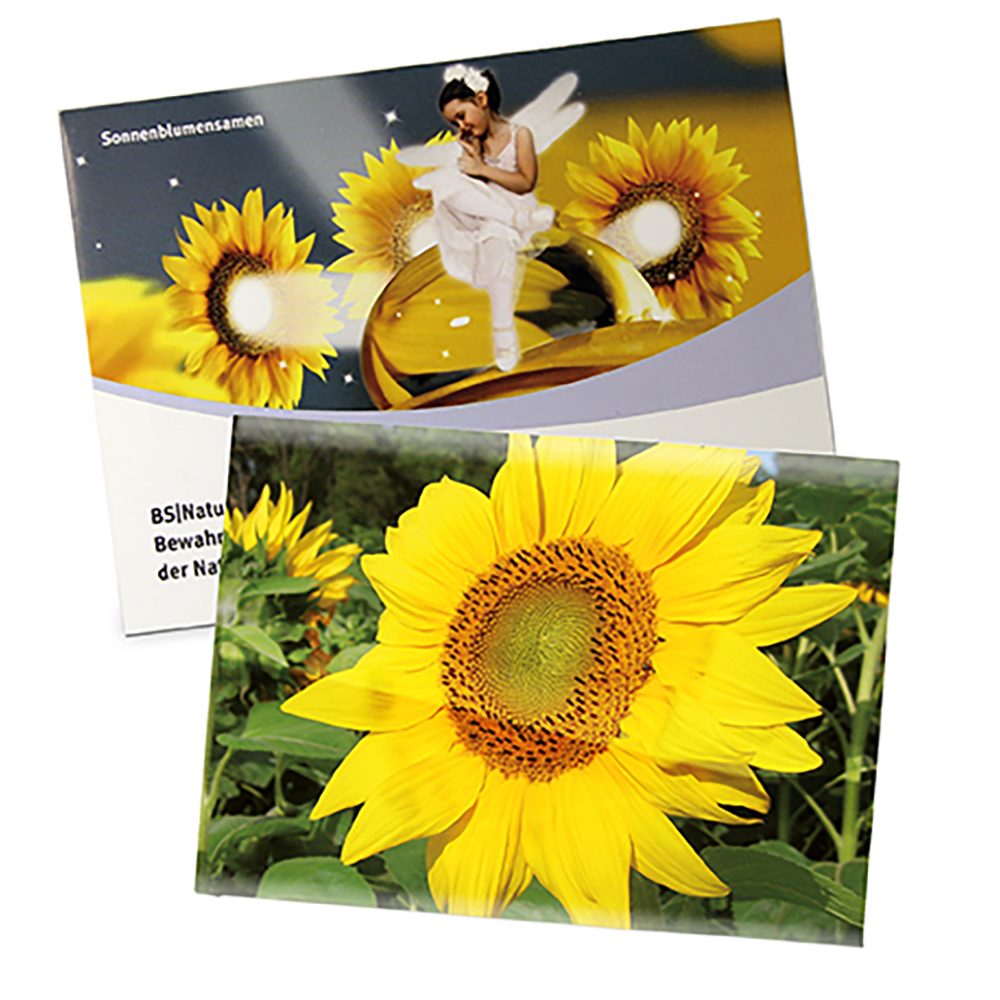 Samentütchen Groß, Standardpapier - Sonnenblume