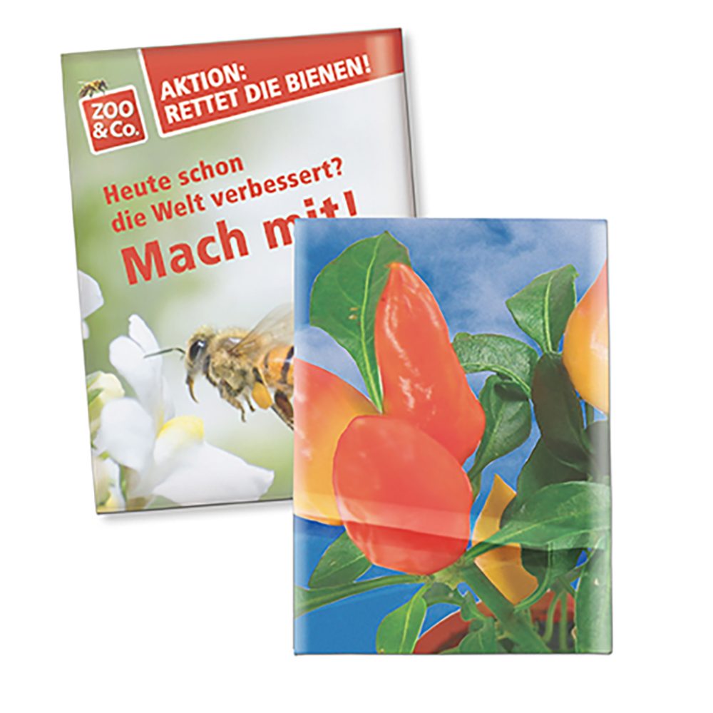 Samentütchen Klein, Recyclingpapier - Gewürzpaprika