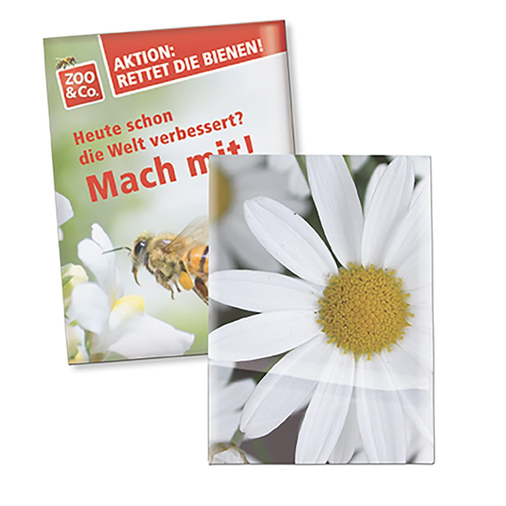 Samentütchen Klein, Recyclingpapier - Margerite
