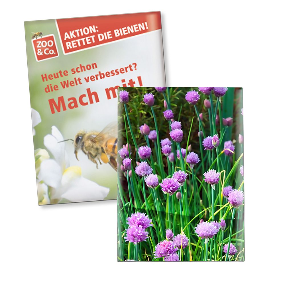 Samentütchen Klein, Recyclingpapier - Schnittlauch