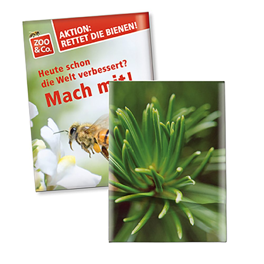 Samentütchen Klein, Standardpapier - Fichte