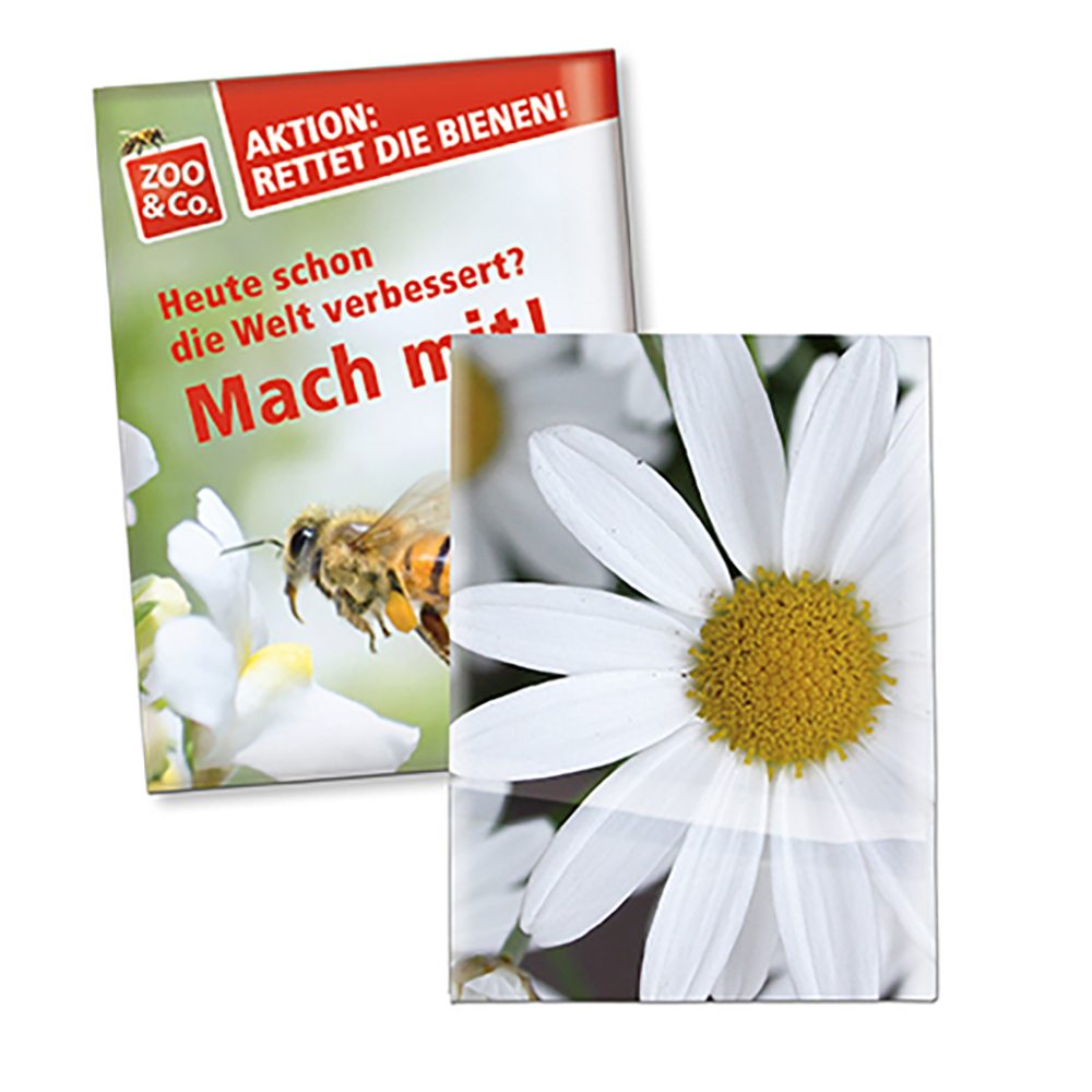 Samentütchen Klein, Standardpapier - Margerite