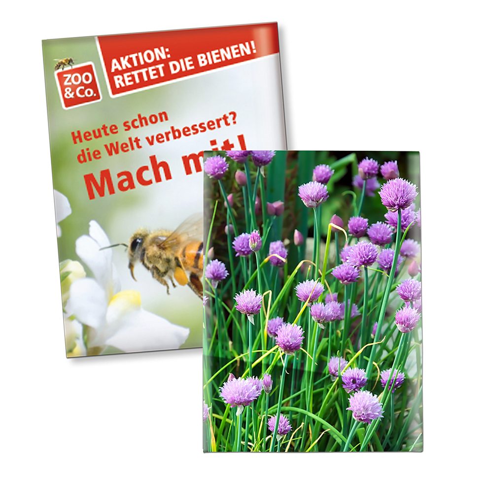Samentütchen Klein, Standardpapier - Schnittlauch