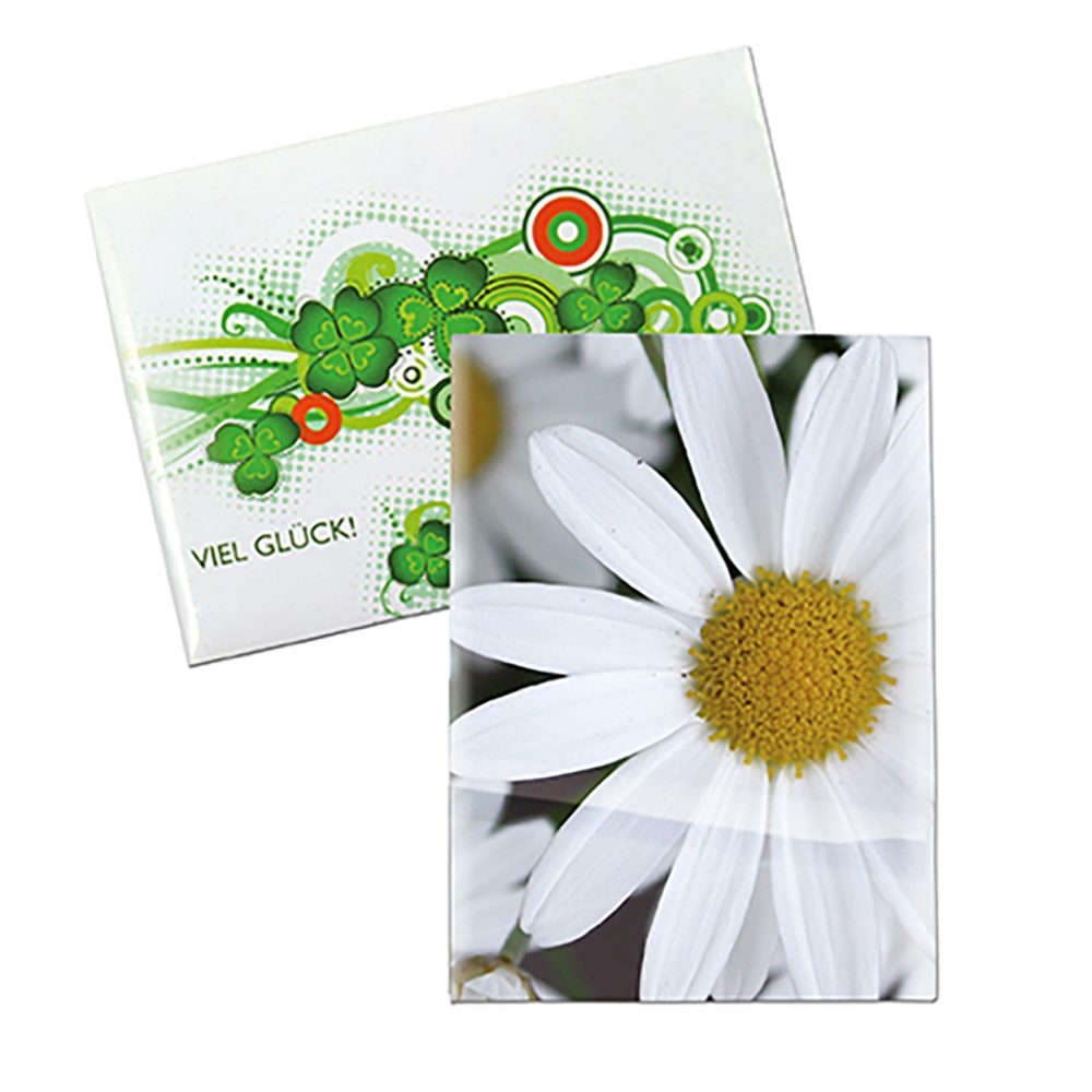 Samentütchen Mini, Standardpapier - Margerite