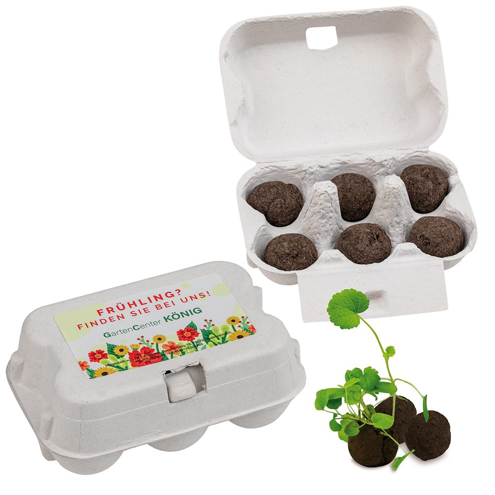 Sixpack - Flower-Balls Midi mit Samen, emotion factory