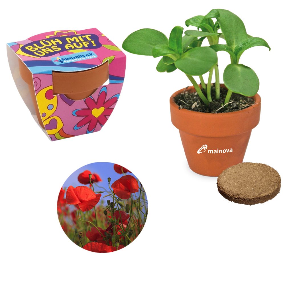 Terracotta Pflanztöpfchen, Mohn inkl. Tampondruck