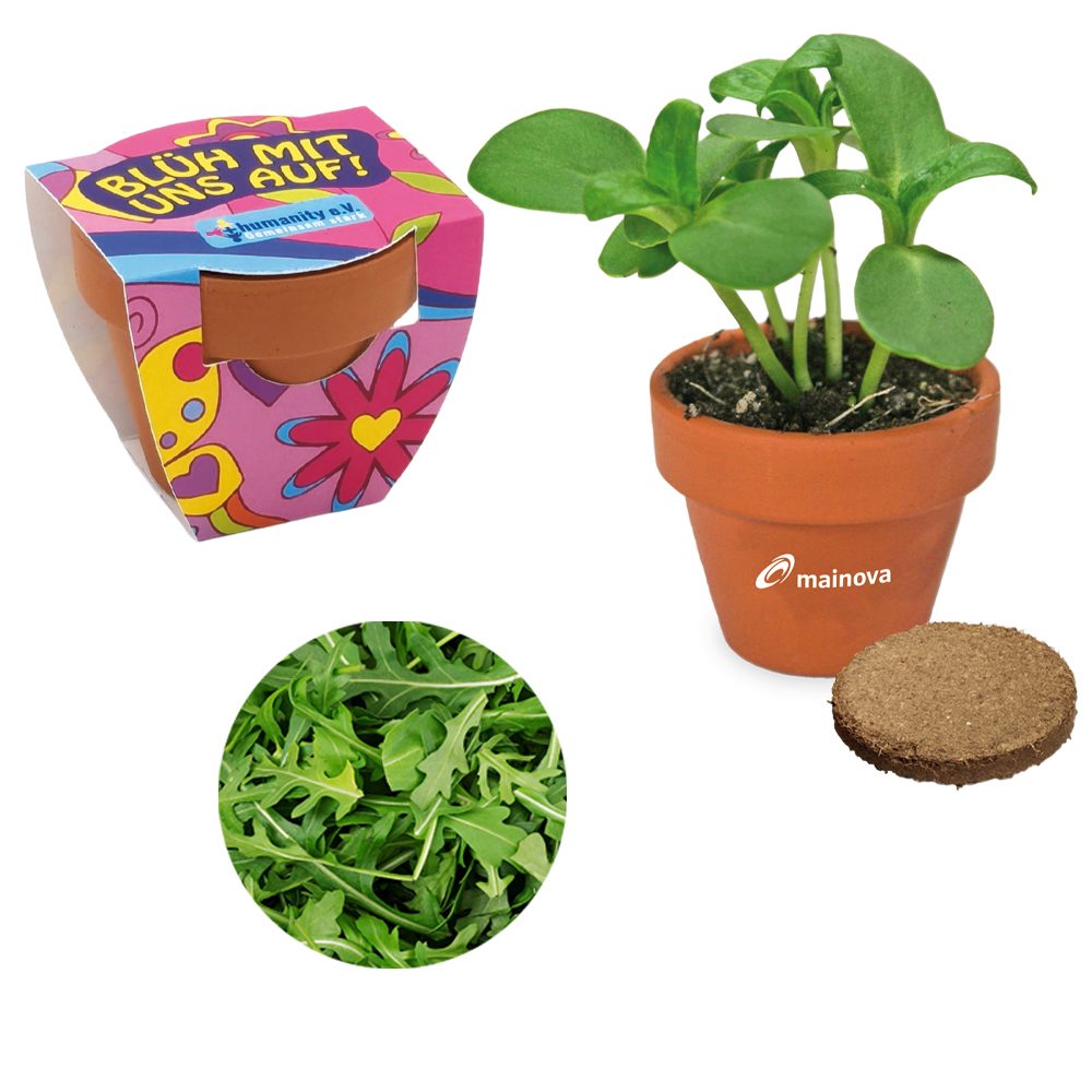 Terracotta Pflanztöpfchen, Rucola inkl. Tampondruck