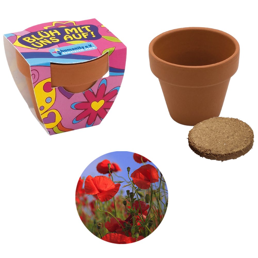 Terracotta Pflanztöpfchen, Mohn