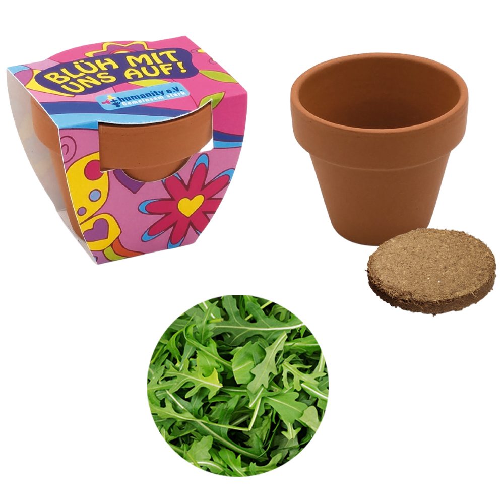 Terracotta Pflanztöpfchen, Rucola