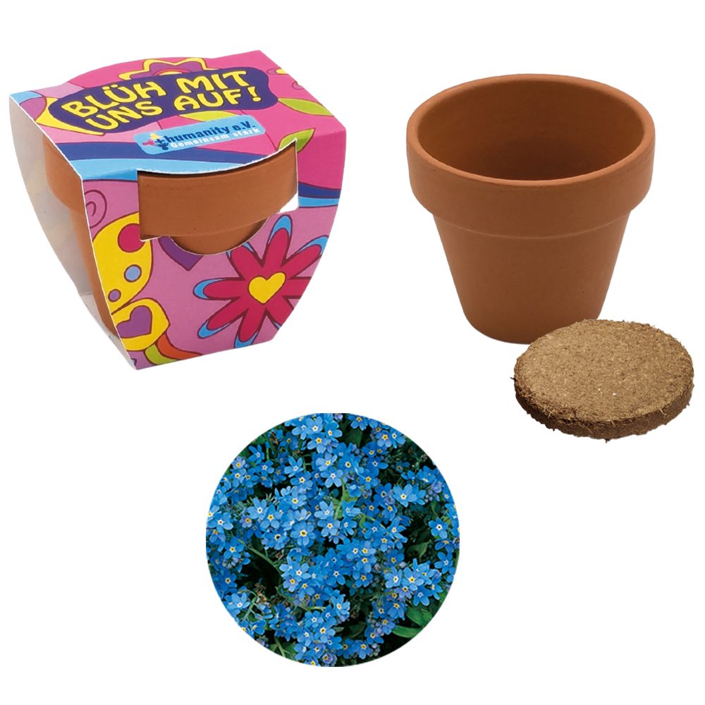 Terracotta Pflanztöpfchen, Vergissmeinnicht