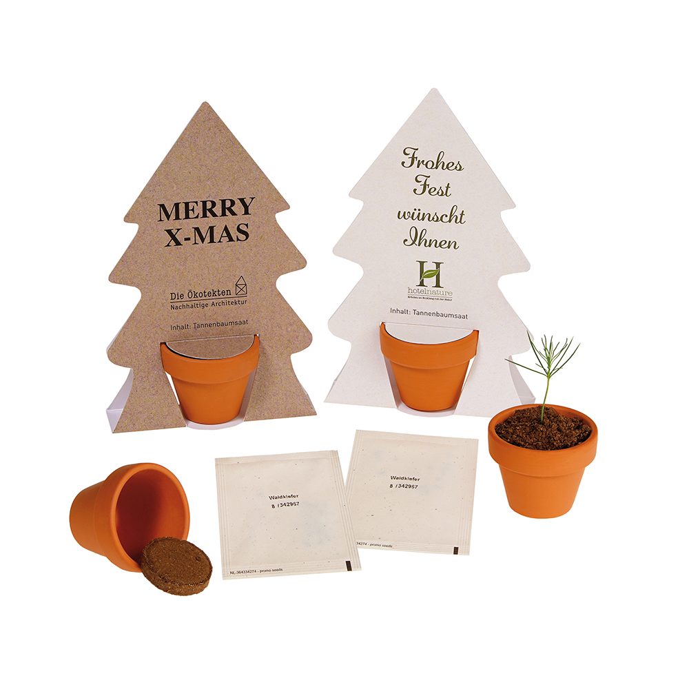 Tiny Tree - Samenset, emotion factory