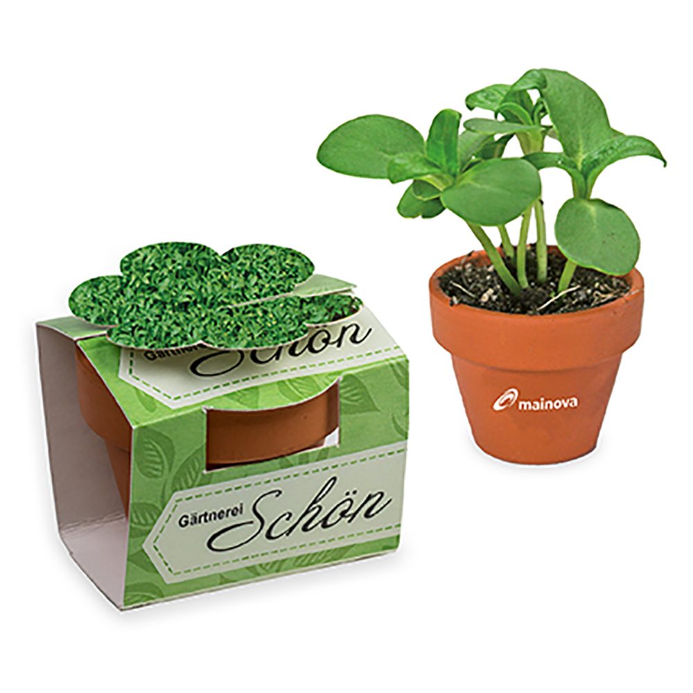 Tontöpfchen-Blume mit Samen, Gartenkresse inkl. Tampondruck