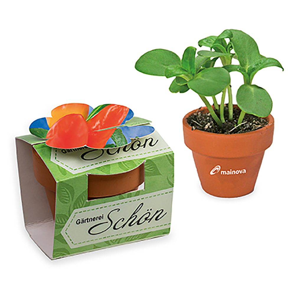 Tontöpfchen-Blume mit Samen, Gewürzpaprika inkl. Tampondruck