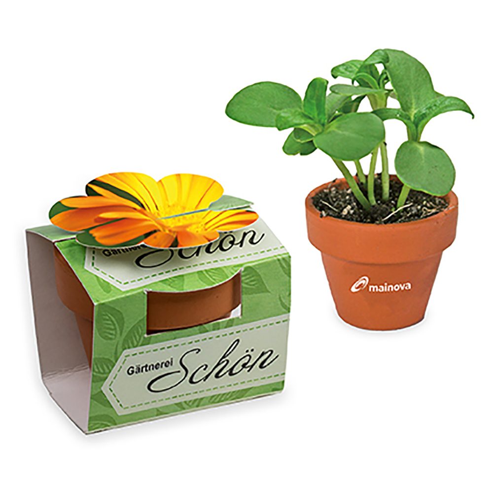 Tontöpfchen-Blume mit Samen, Ringelblume inkl. Tampondruck