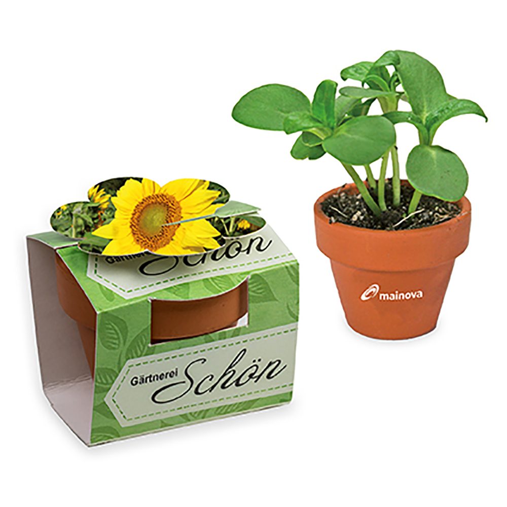 Tontöpfchen-Blume mit Samen, Sonnenblume inkl. Tampondruck