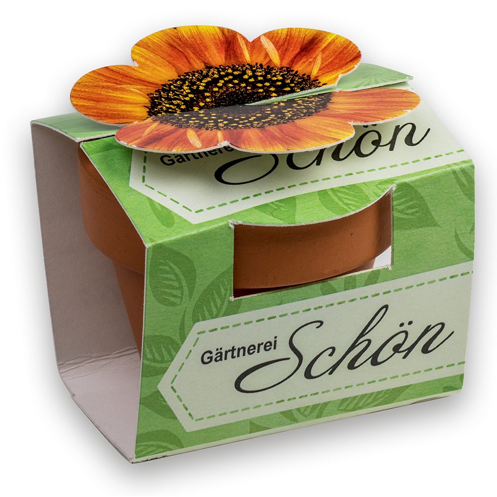Tontöpfchen-Blume mit Samen, emotion factory