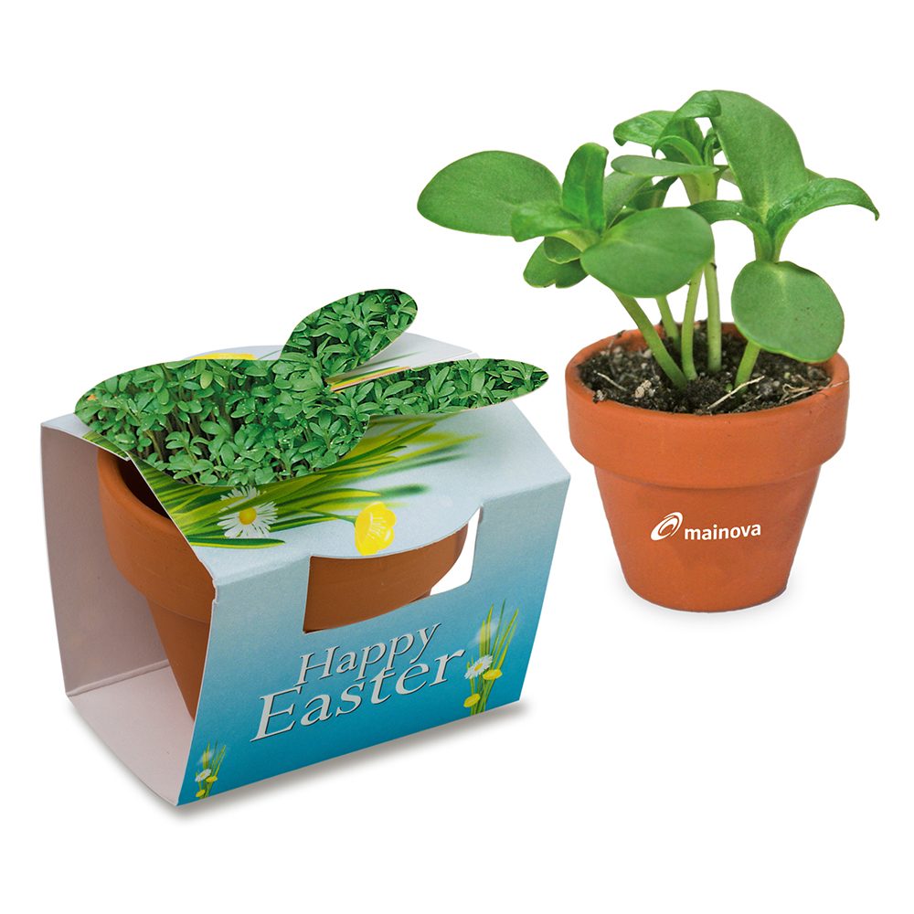 Tontöpfchen-Hase mit Samen, Gartenkresse inkl. Tampondruck