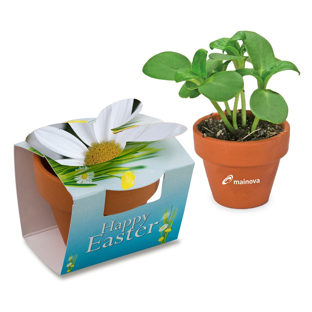 Tontöpfchen-Hase mit Samen, Margerite inkl. Tampondruck