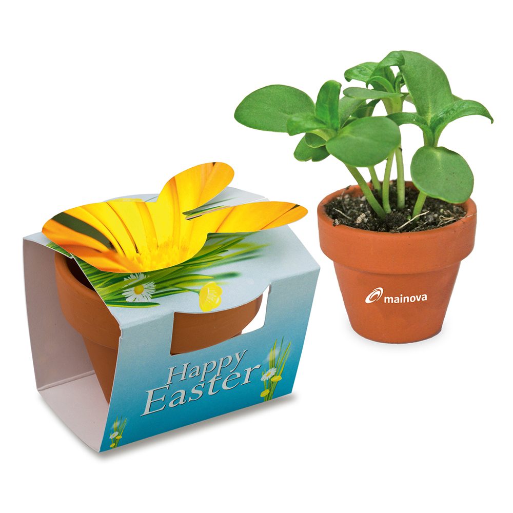 Tontöpfchen-Hase mit Samen, Ringelblume inkl. Tampondruck
