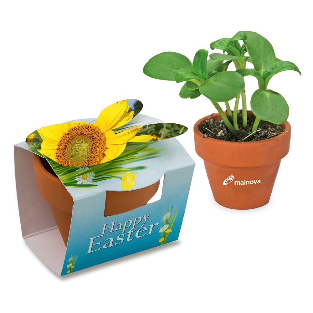 Tontöpfchen-Hase mit Samen, Sonnenblume inkl. Tampondruck