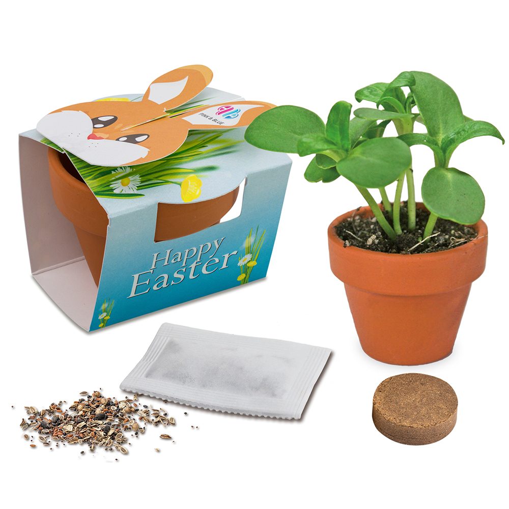 Tontöpfchen-Hase mit Samen, emotion factory
