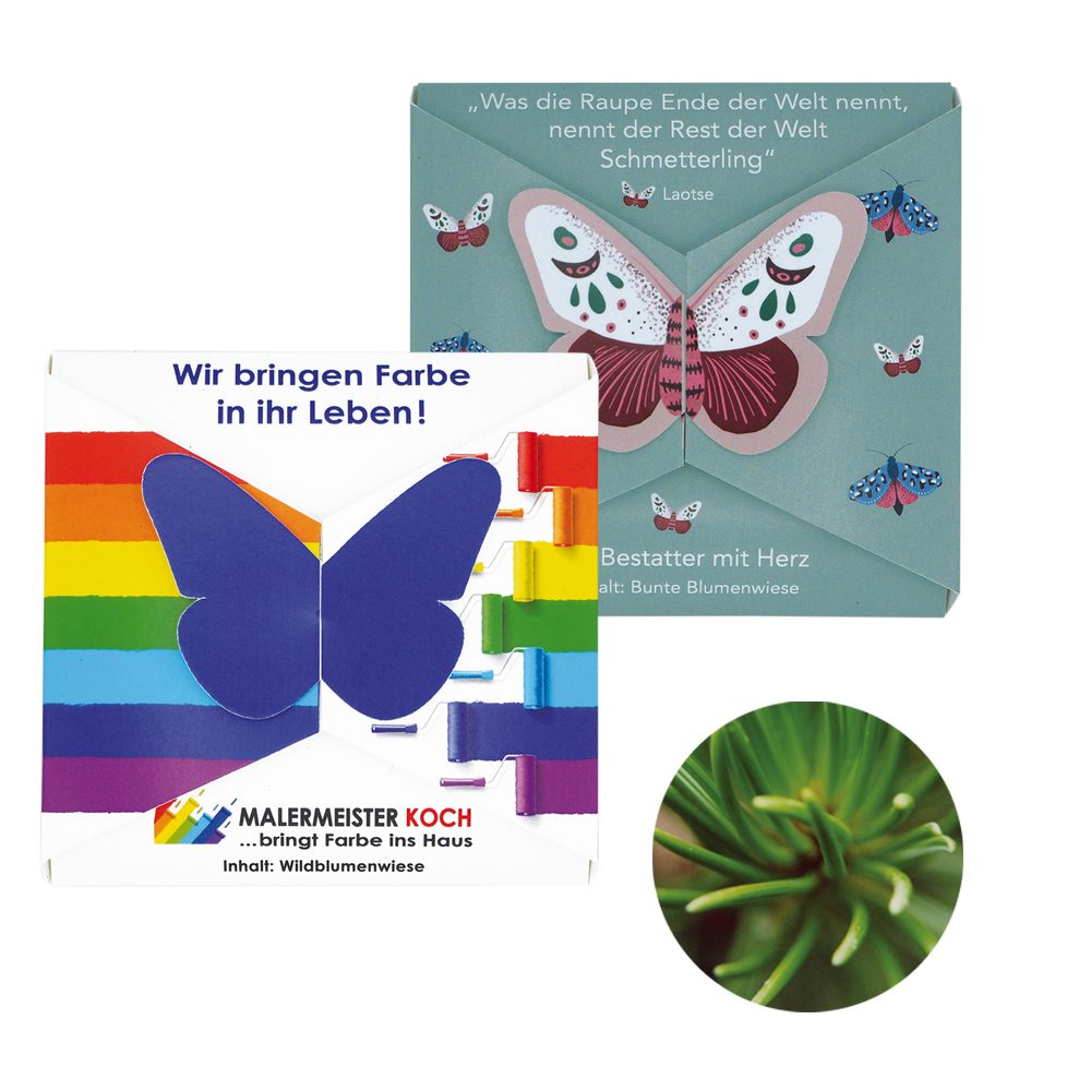 Verschluss - Samenkarte Schmetterling, Rotfichte