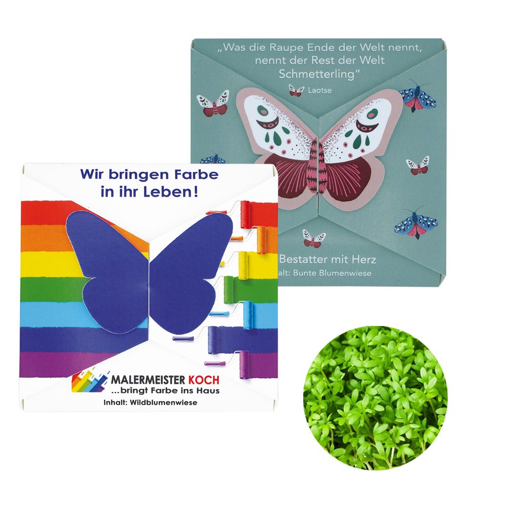 Verschluss - Samenkarte Schmetterling, Kresse