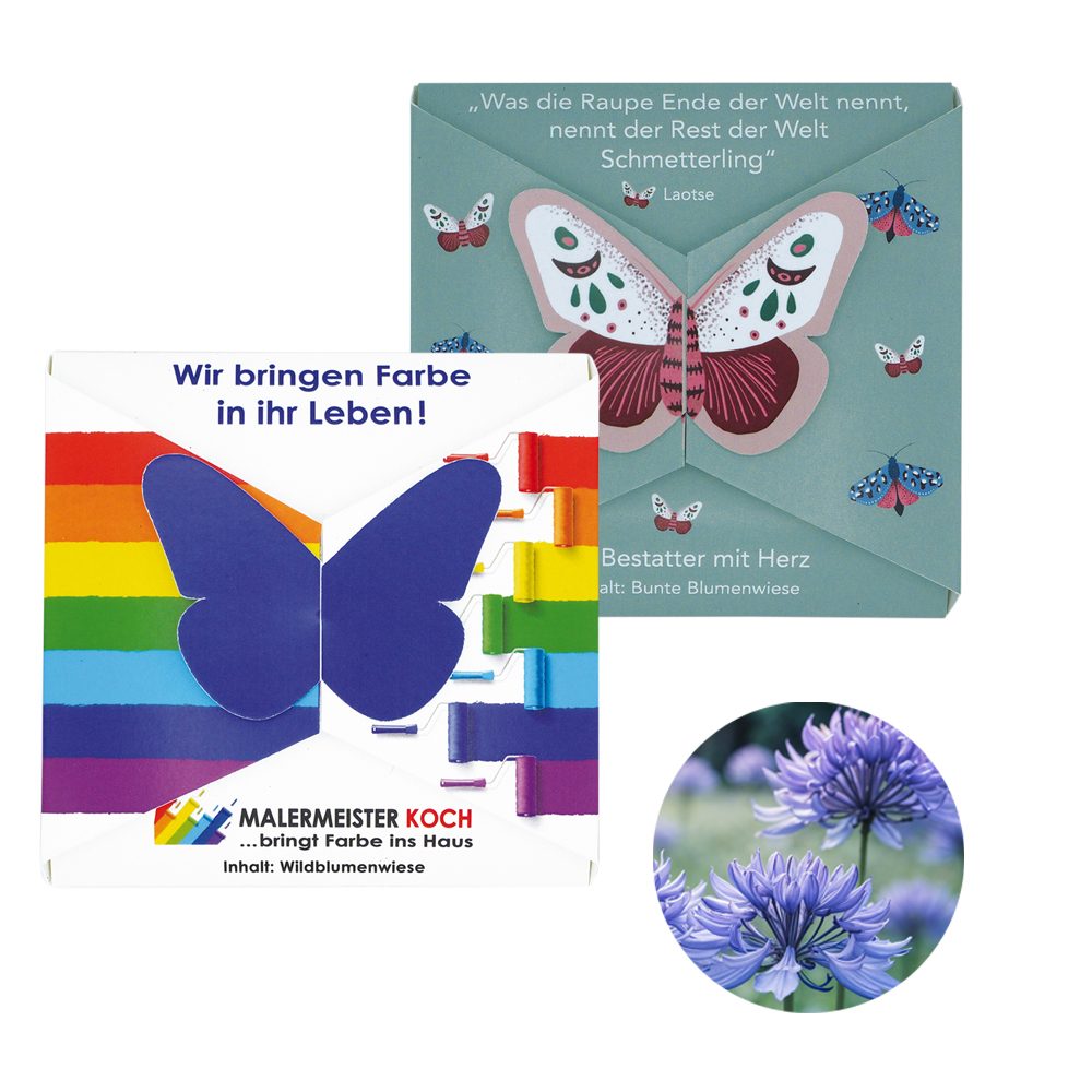 Verschluss - Samenkarte Schmetterling, Kornblume