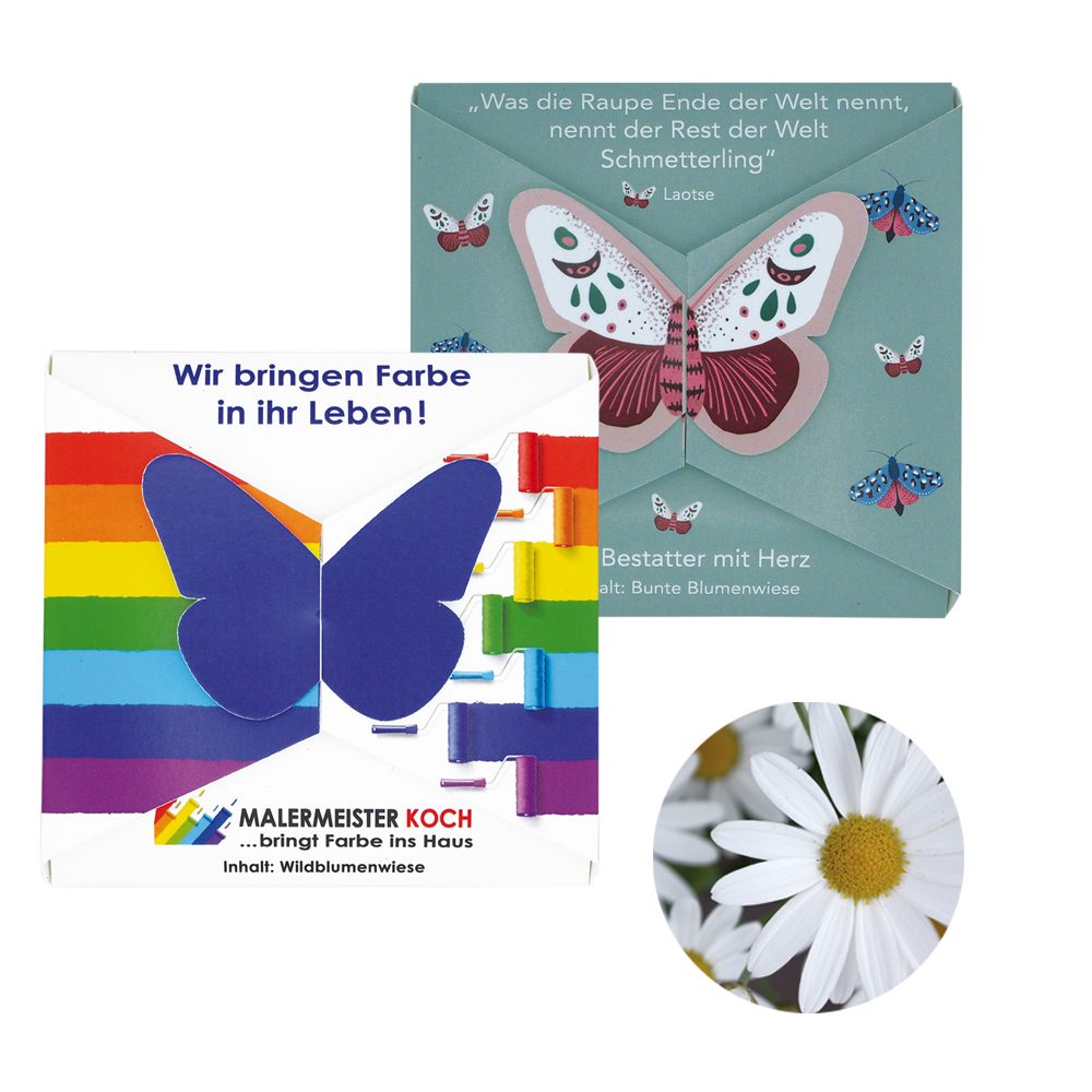Verschluss - Samenkarte Schmetterling, Margerite