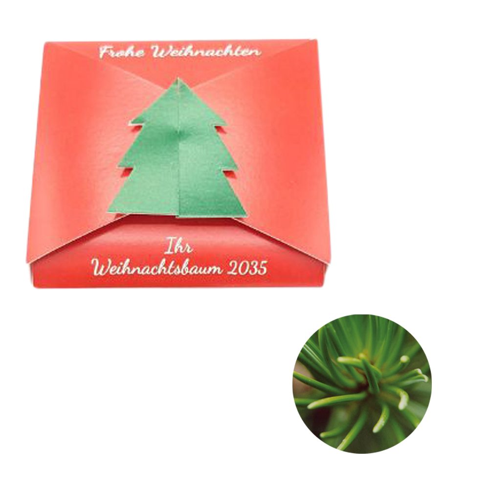 Verschluss - Samenkarte Tannenbaum, Rotfichte