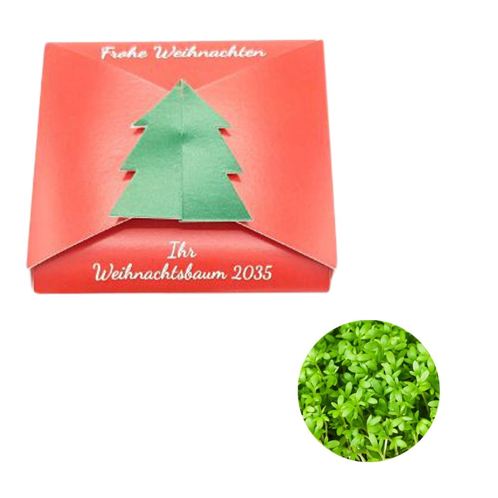 Verschluss - Samenkarte Tannenbaum, Kresse