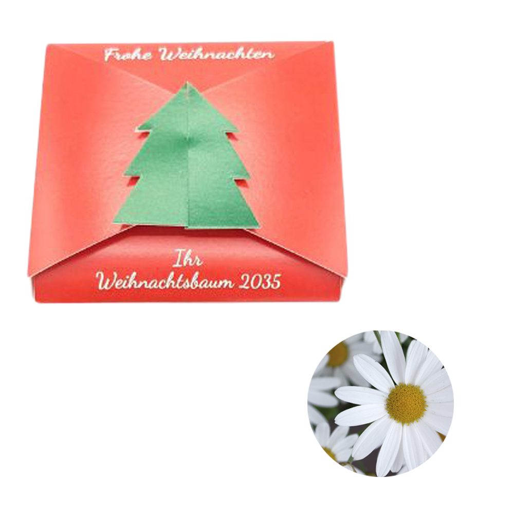 Verschluss - Samenkarte Tannenbaum, Margerite