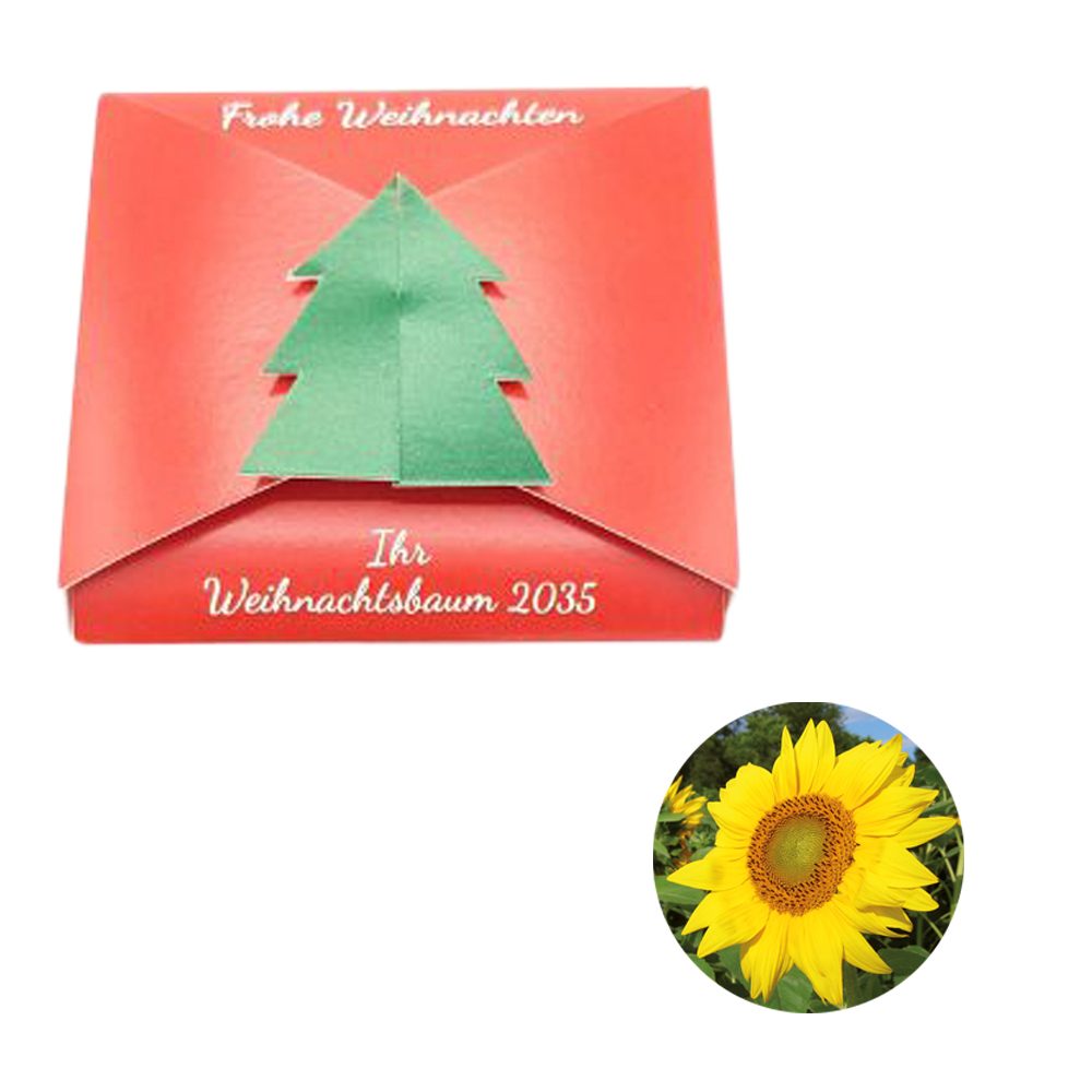 Verschluss - Samenkarte Tannenbaum, Sonnenblume