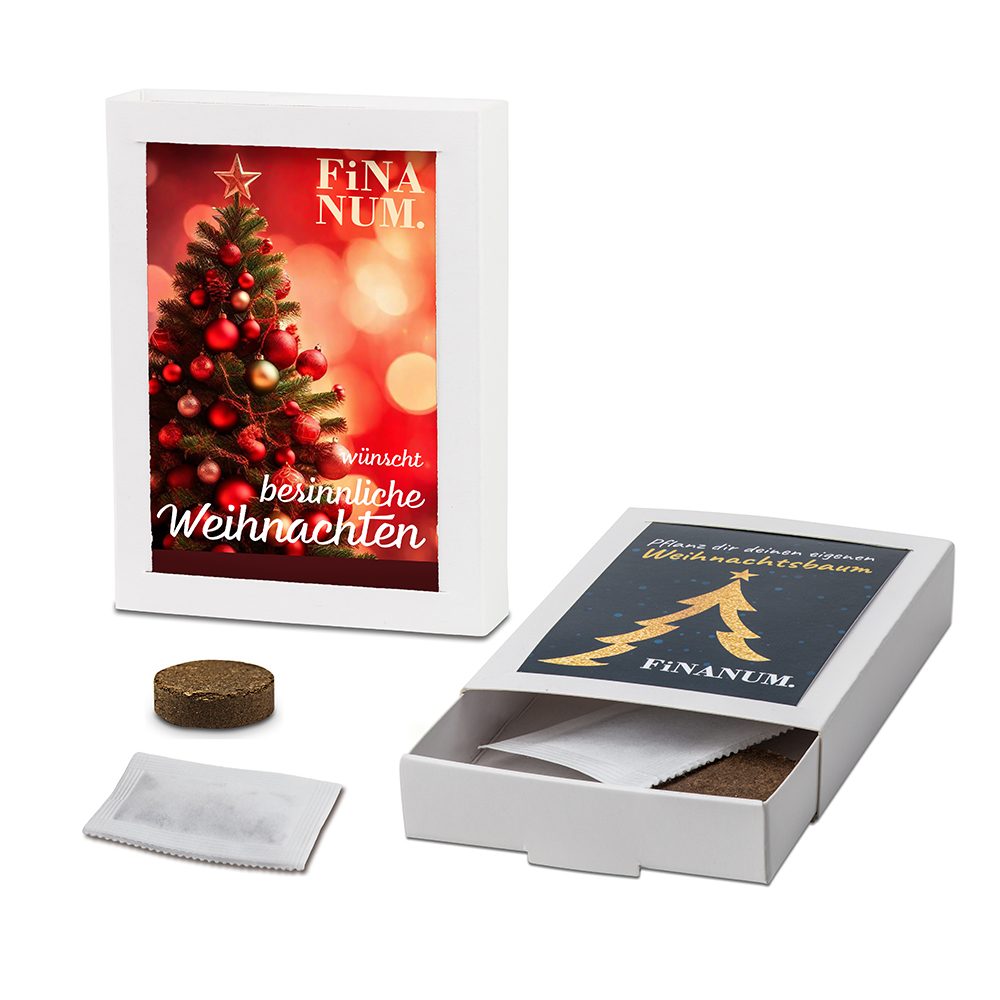 Weihnachtsbaum aus der Box, emotion factory