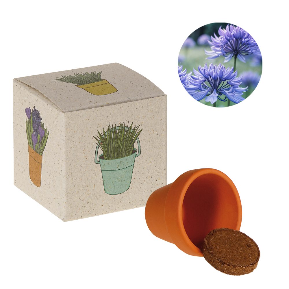 Werbepower-Samenwürfel (Graspapier), Kornblume