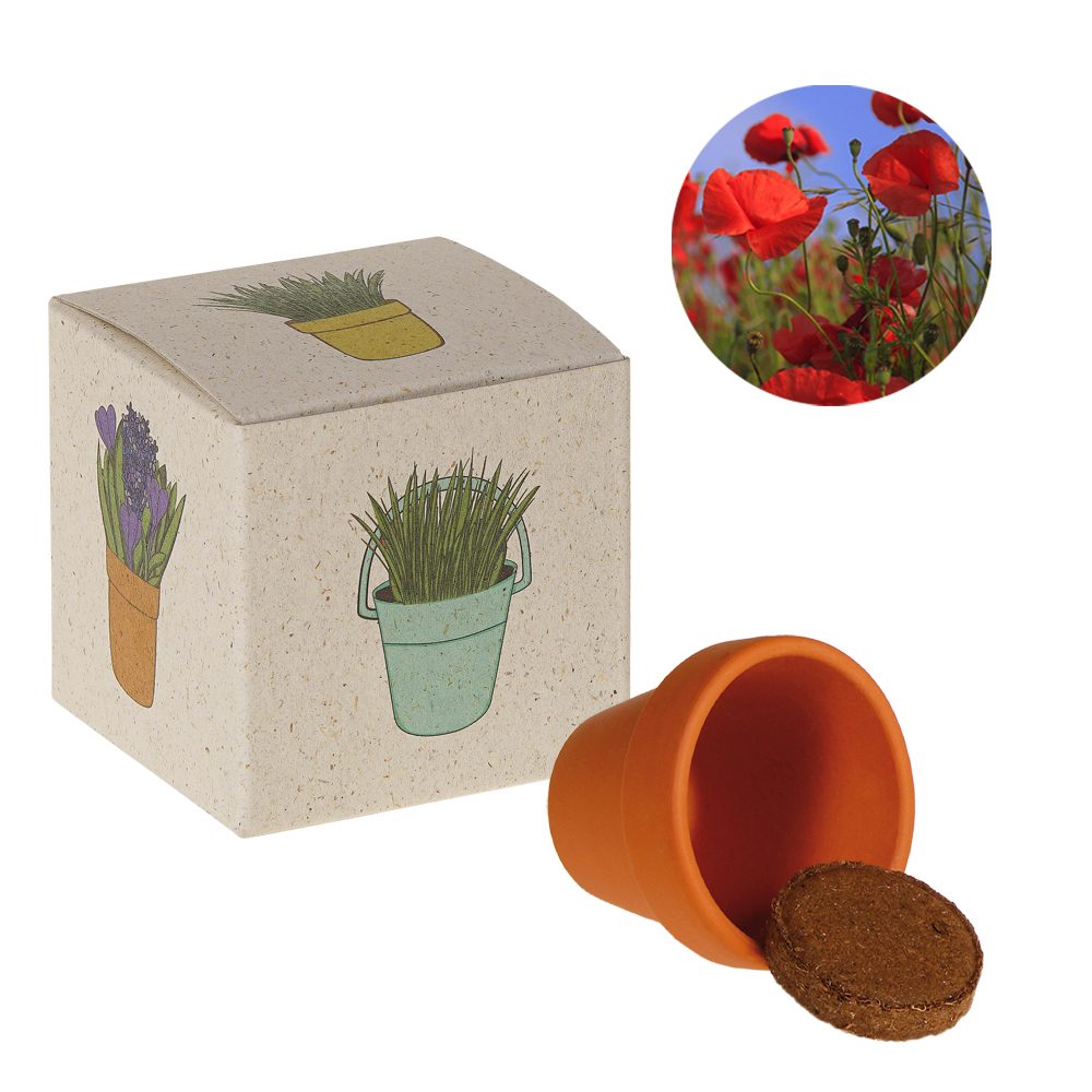 Werbepower-Samenwürfel (Graspapier), Mohn
