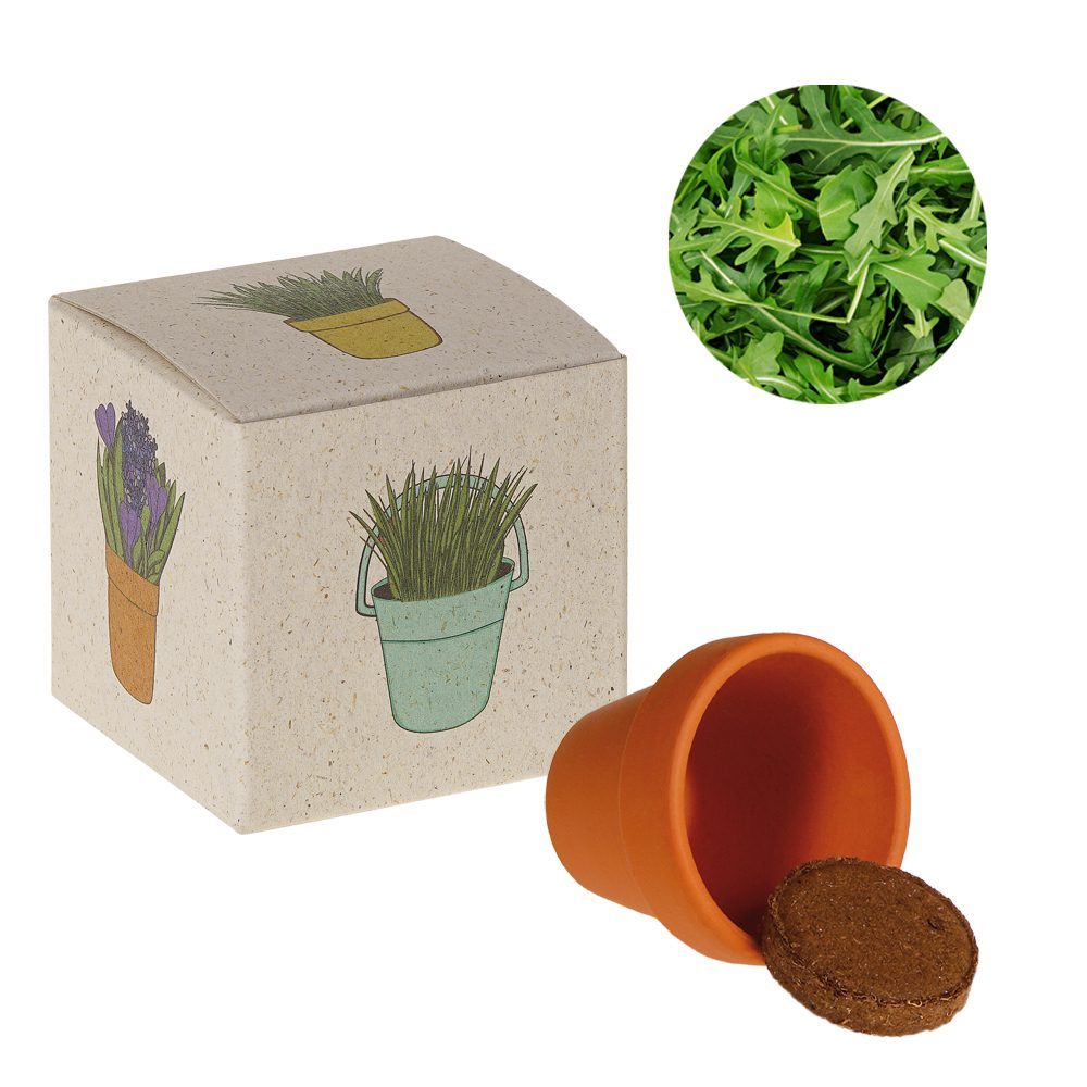 Werbepower-Samenwürfel (Graspapier), Rucola